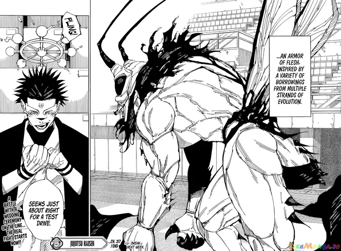 Jujutsu Kaisen Chapter 217 image 18_optimized